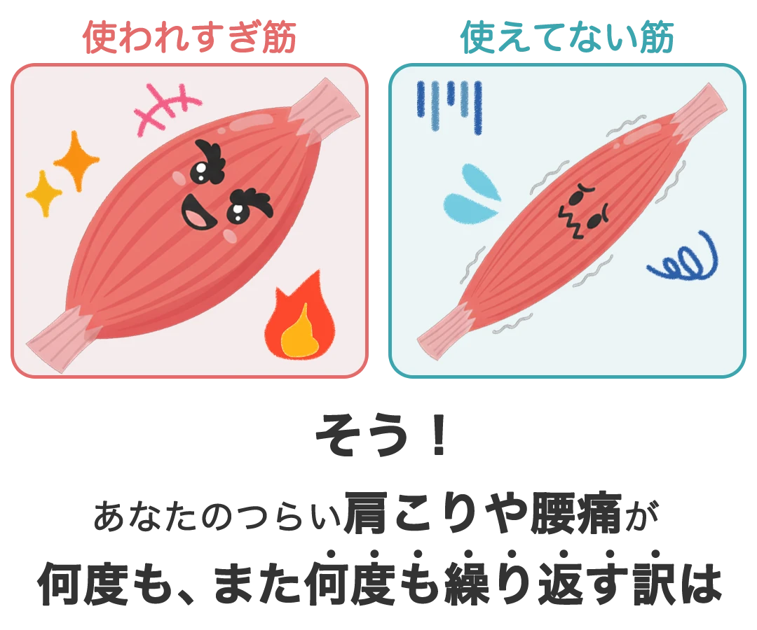 使われすぎ筋、使えてない筋、そう！あなたのつらい肩こりや腰痛が何度も、また何度も繰り返す訳は
