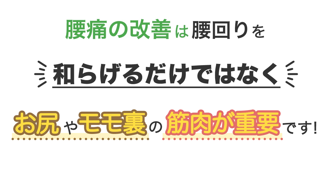 腰痛の改善は腰回りを和らげるだけではなくお尻やモモ裏の筋肉が重要です！