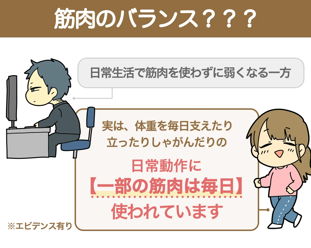 筋肉のバランス???日常生活で筋肉を使わずに弱くなる一方、実は、体重を毎日支えたり、立ったり、しゃがんだりの日常動作に【一部の筋肉は毎日】使われています。エビデンス有り。